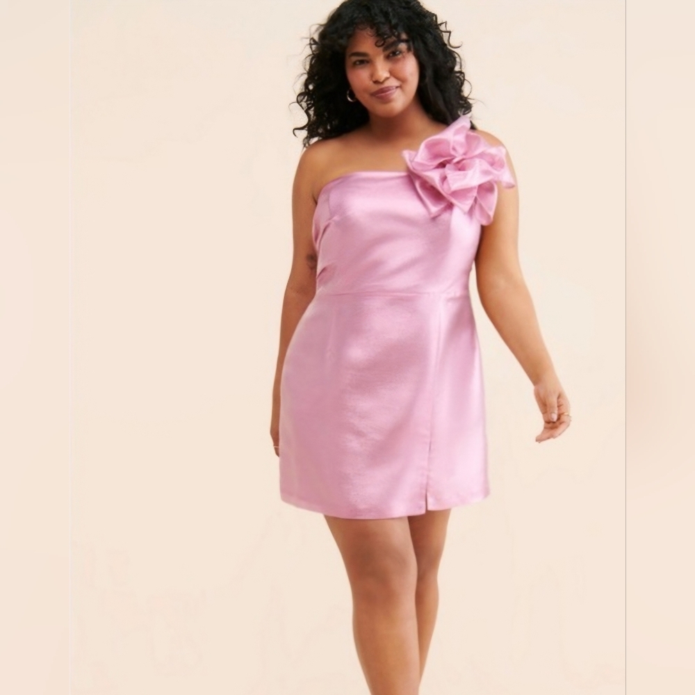 Anthropologie Hutch‎ Irridescent Pink Metallic Corsage Bow Mini Dress Coquette